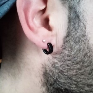 Niagara Stainless Steel Hoop Earrings