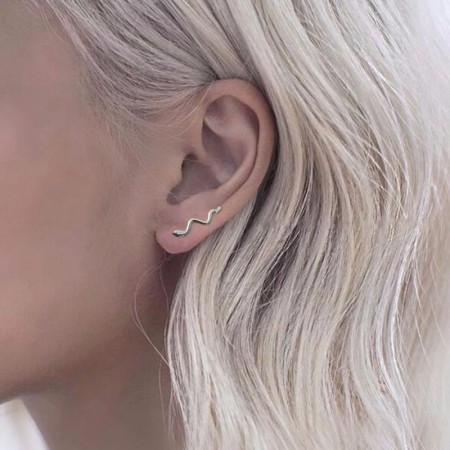 Trepadores serpiente plata