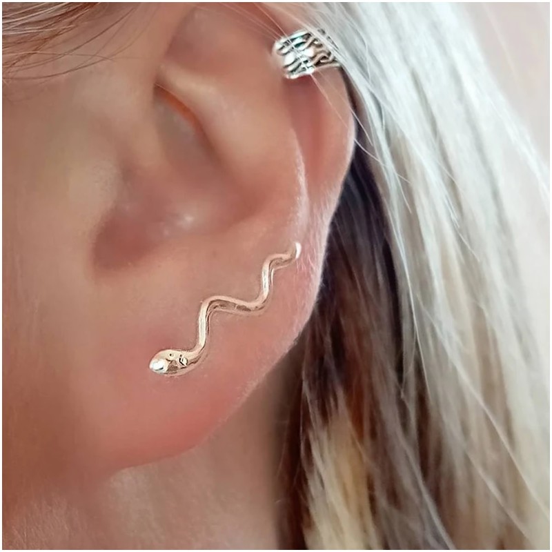 pendientes trepadores serpiente plata