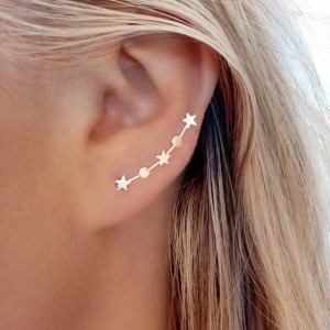 chicback climber earrings